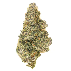 Black Cherry Gelato (Hybrid)